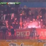 boracvelez1415_01