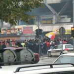 zeljvelez07-08_463